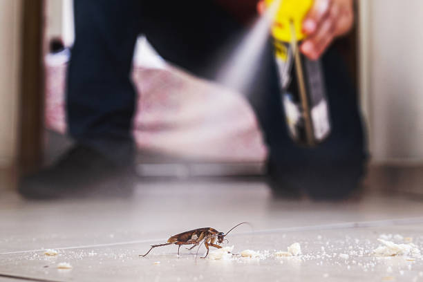 Best Commercial Pest Control Services  in Ballville, OH